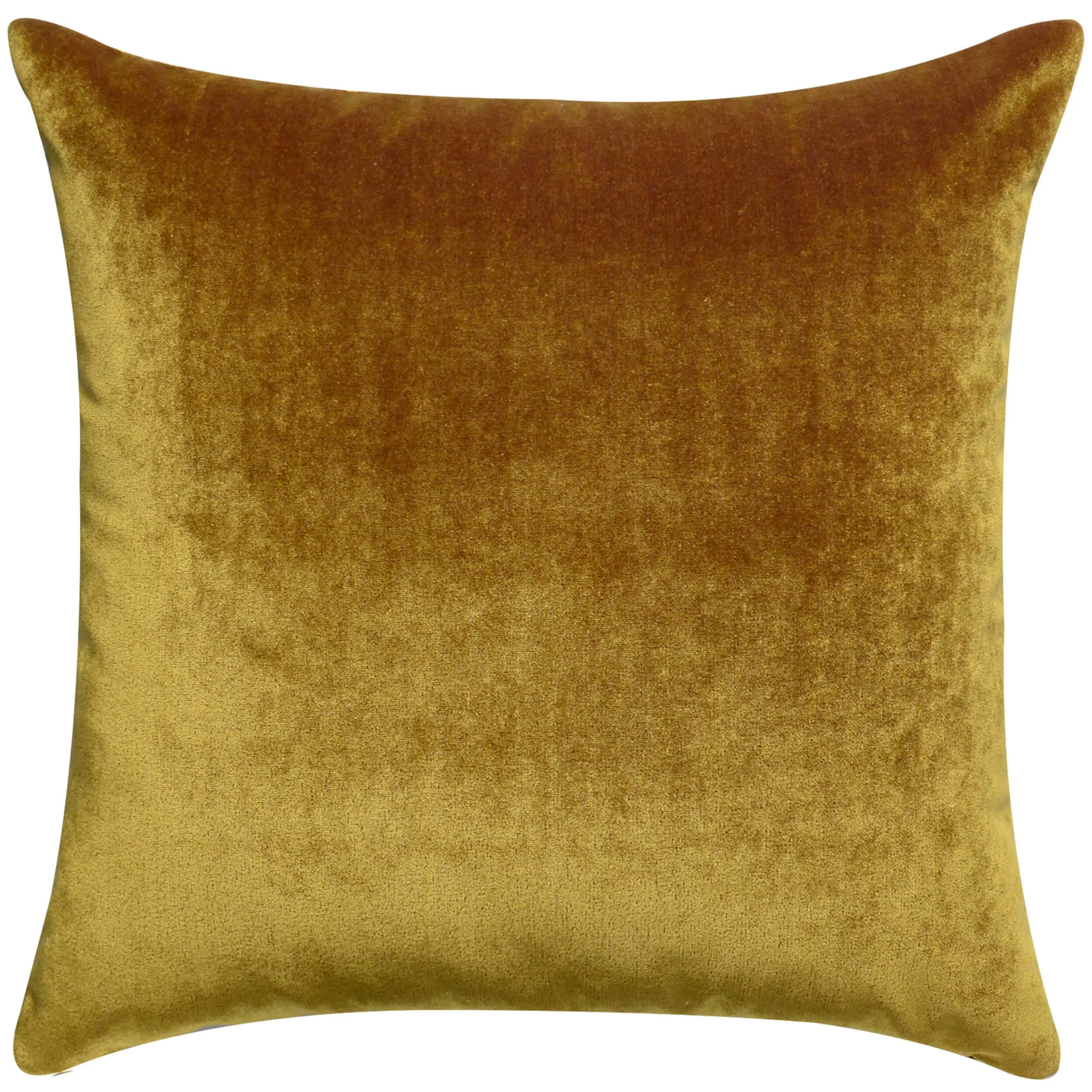 Angel Pillow, Mustard