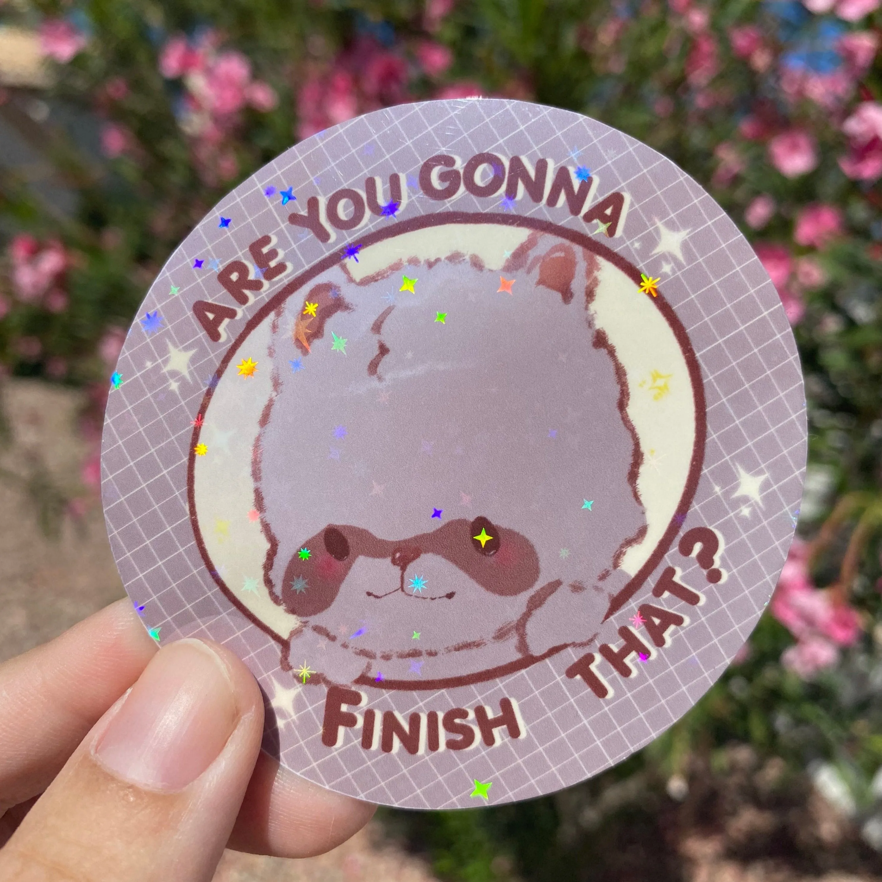 Are you gonna finish that? Raccoon holographic sticker