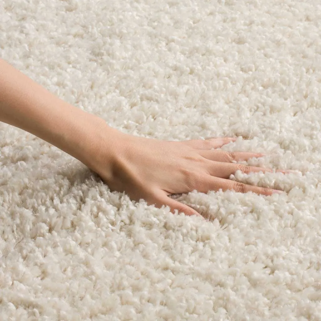 Arizona Shag Creme Area Rug