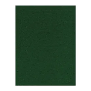 Felt Single Sheet 9in x 12in, Kelly Green