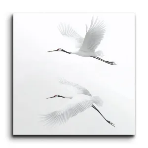 Graceful Cranes in Flight: Minimalist Elegance