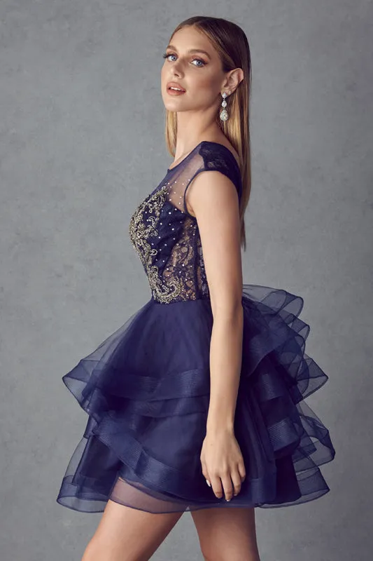 Lace Applique Bodice Dress for Cocktail & Homecoming