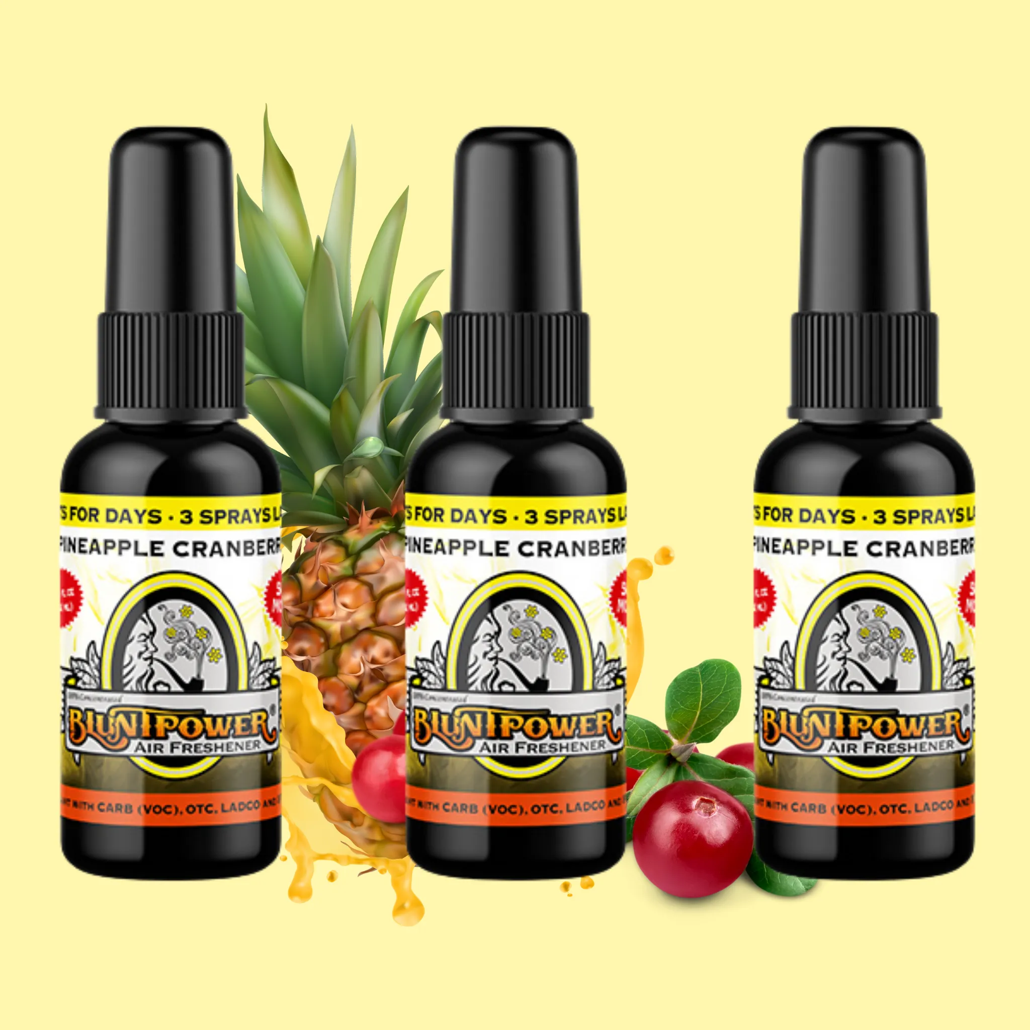 Pineapple Cranberry Air Freshener Bundle (3 Pack)