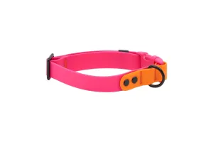 RC Pets Waterproof Collar for Dogs in Azalea & Orange