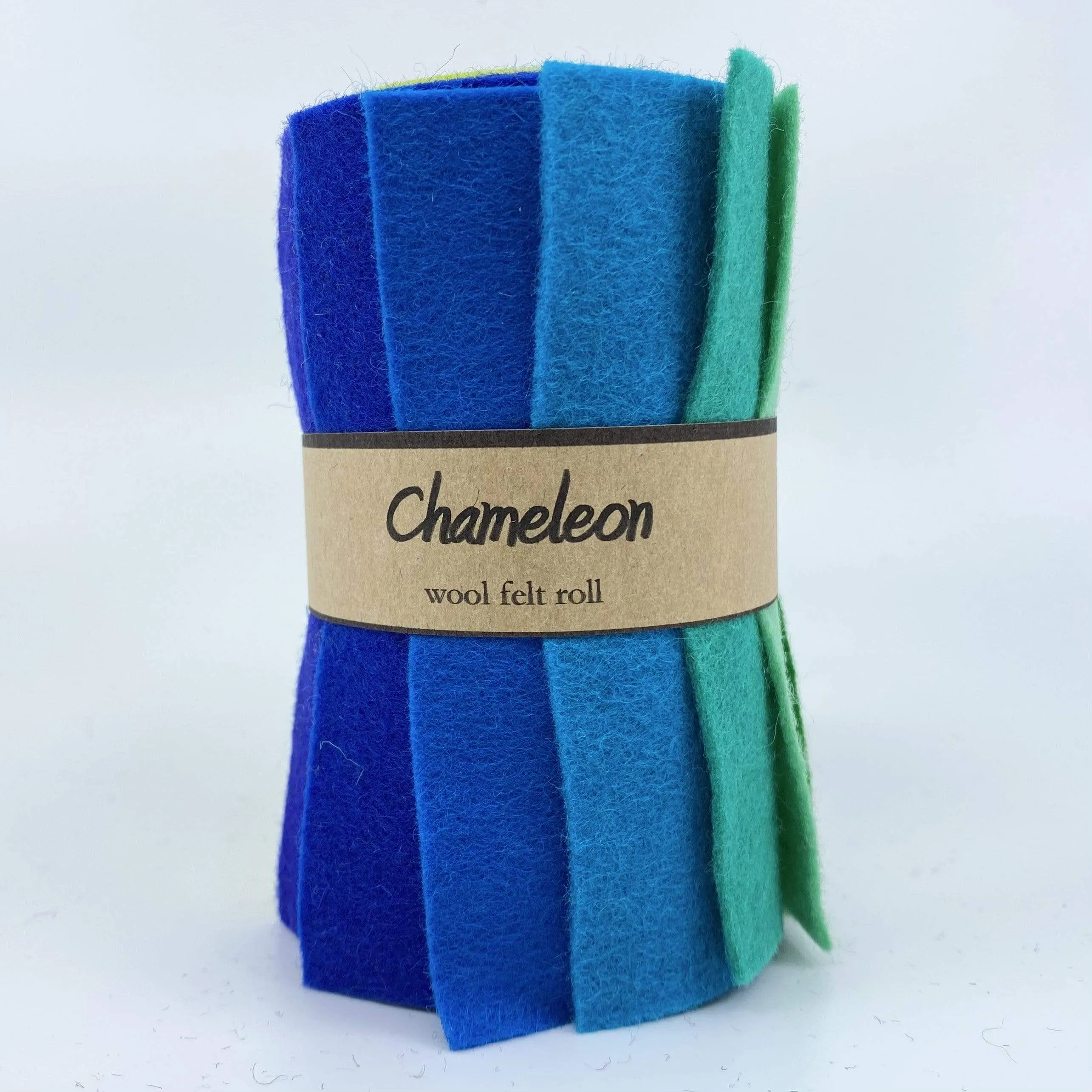 Small Wool Felt Roll - Chameleon