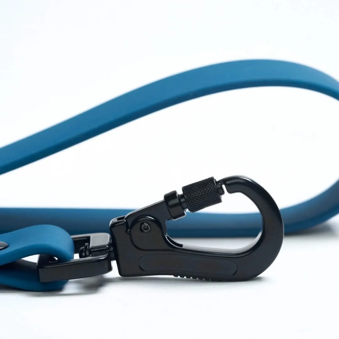 Waterproof PVC Dog Leash (Multi-Color)