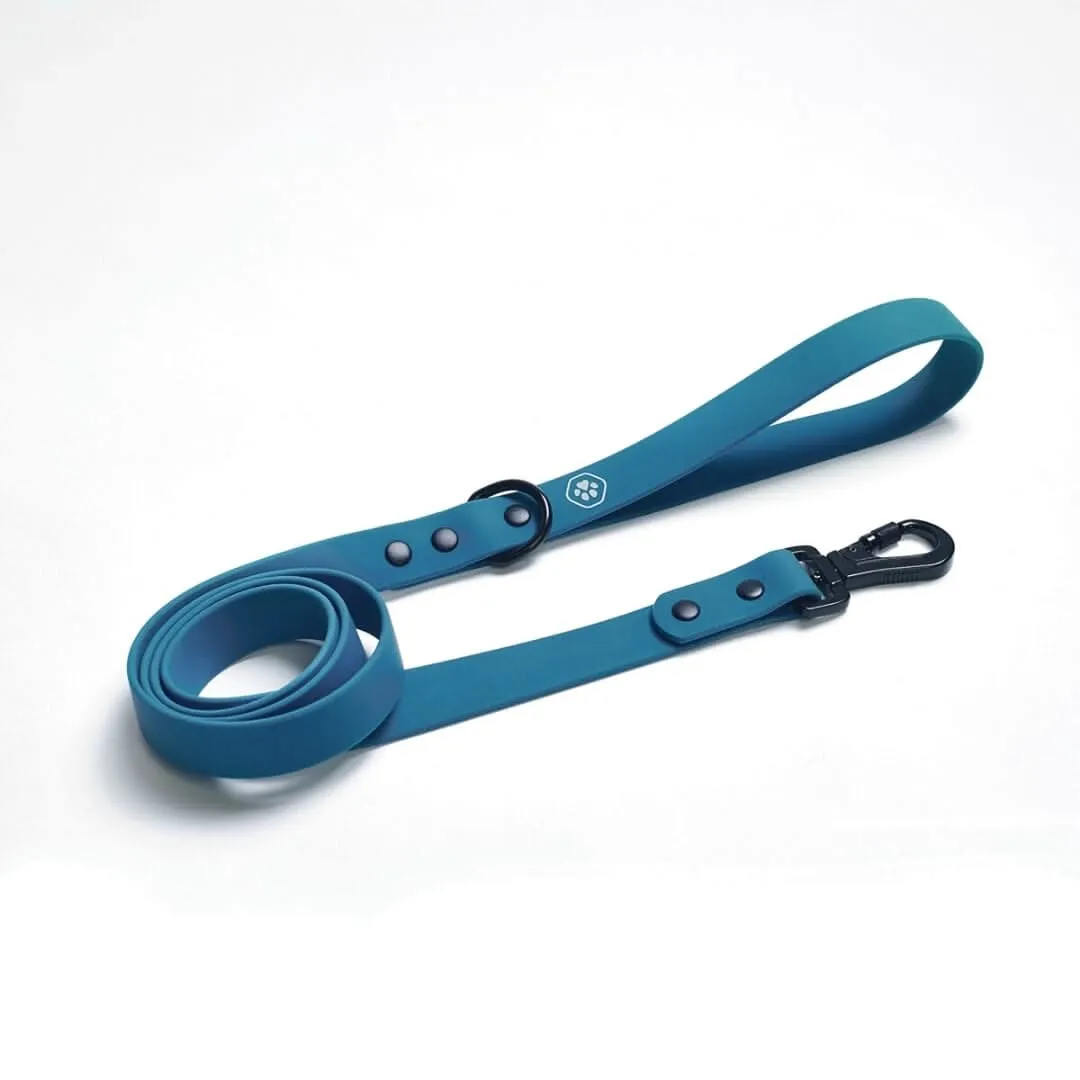 Waterproof PVC Dog Leash (Multi-Color)